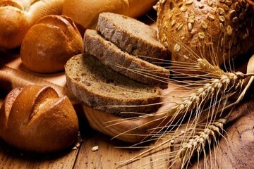 دانش بنیان ها به ۲۷ نیاز فناورانه صنعت نان و غلات پاسخ دادند