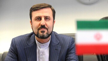 واکنش غریب آبادی به اظهارات اخیر مدیرکل آژانس