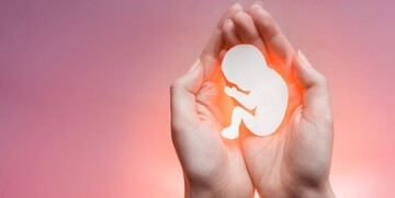 بررسی دیدگاه فلسفه پزشکی درباره سقط جنین/ملاک انسان بودگی چیست؟