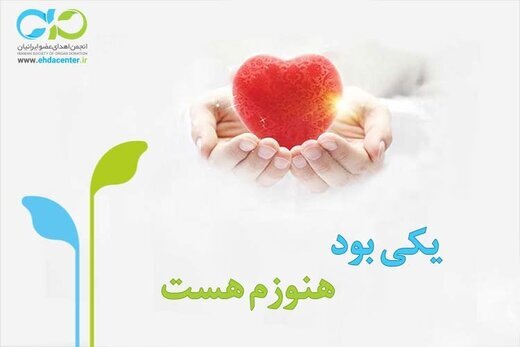 اهدا کنندگان عضو