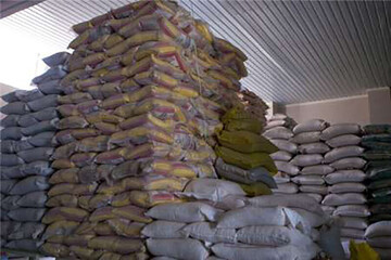 توزیع انبوه برنج برای کنترل بازار/ با غفلت دولت قبل، تمام برنج تولید داخل به دست واسطه‌ها افتاد