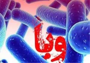 وضعیت «وبا» در ایران / افزایش بیماری در برخی کشورهای همجوار