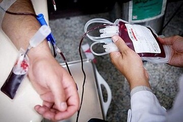 رشد ۹ درصدی شاخص اهدای خون در کشور/۴ استان رکورددار اهدای خون بانوان