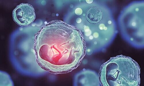 فریز تخمک