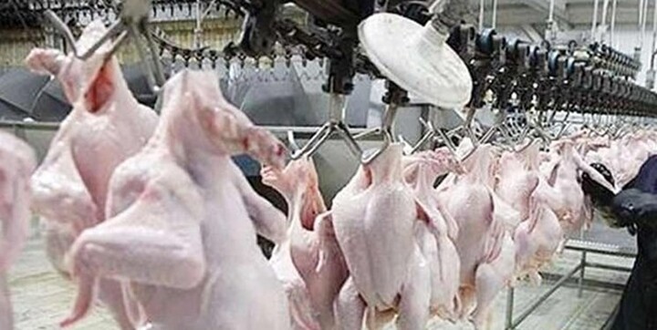 بازار مرغ