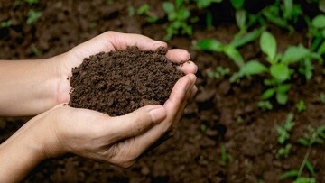 خاک، سرآغاز زندگی؛ نرخ پنج برابری فرسایش خاک کشور نسبت به استاندارد جهانی
