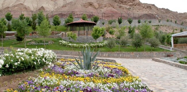 گل های زینتی