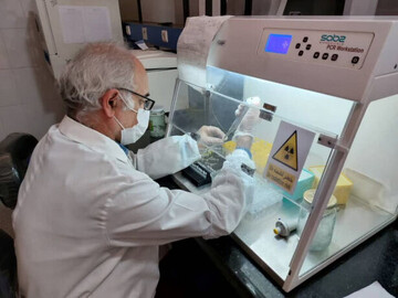 دستیابی محققان ایرانی به روش درمان جدید بیماری تصلب شرائین