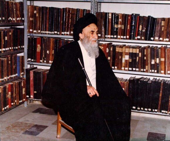 حجت الاسلام «سید محمود مرعشی نجفی»