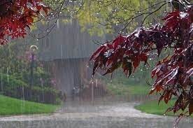 بارش‌ها در جنوب کشور آغاز می‌شود/ورود سامانه بارشی از شمال‌غرب