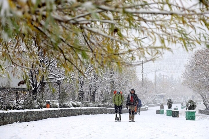 سازمان هواشناسی کشور