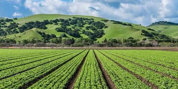 پرتو دهی محصولات کشاورزی برای اولین بار در ایران