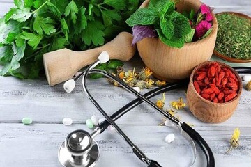 توسعه آموزش طب ایرانی در سیستم نظام سلامت ضروری است