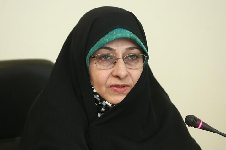 به دنبال یافتن مشترکات جهانی در حوزه خانواده هستیم انسیه خزعلی