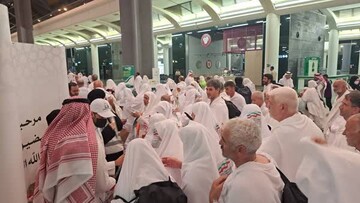 تعداد زائران ایرانی حاضر در سرزمین وحی از ۴۵ هزار نفر گذشت