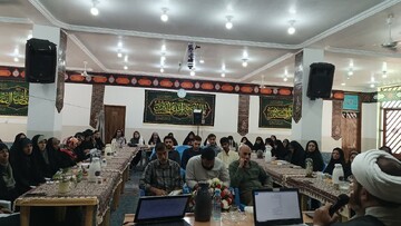 کارگاه آموزشی مربی همیاران اجتماعی استان کرمان برگزار شد + تصاویر