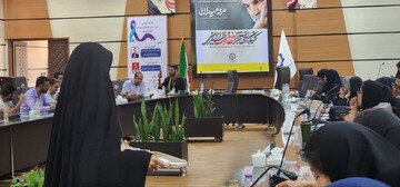 کارگاه آموزشی مربی همیاران اجتماعی استان کرمان
