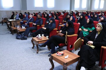 کارگاه آموزشی مربی همیاران اجتماعی استان گلستان برگزار شد