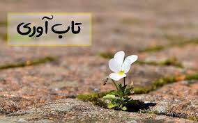 چینی نازک تاب‌آوری؛ آسیب‌ها و راه‌حل