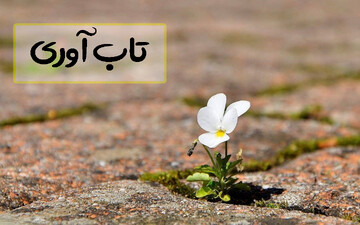 نداشتن تاب‌آوری موجب رواج خشونت در جامعه می‌شود