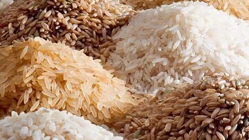 واردات برنج موجب تعدیل قیمت‌ها می‌شود/ کاهش ۲۰ درصدی واردات