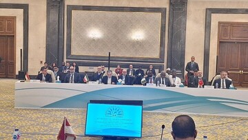 عراقچی: جامعه جهانی در توقف جنایات رژیم صهیونیستی شکست خورده است / امیدواریم «دی ۸» پیام محکمی به دنیا بدهد