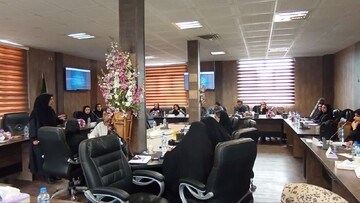 پیام خانواده - کارگاه آموزشی تربیت مربی مراقبین و همیاران اجتماعی در استان قزوین برگزار شد
