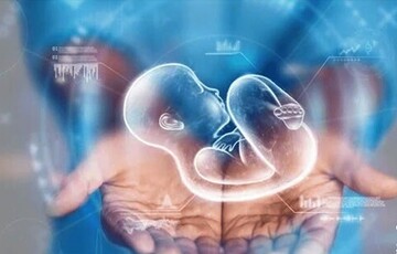 روش‌های طب ایرانی برای افزایش شانس بارداری: درمان‌های طبیعی و تخصصی