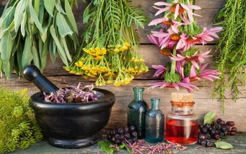 وقتی مصرف خودسرانه گیاهان دارویی فاجعه می‌آفریند