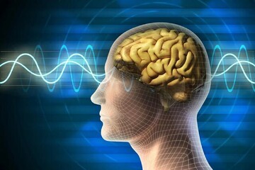 خواب مغز شما را برای آینده آماده می‌کند
