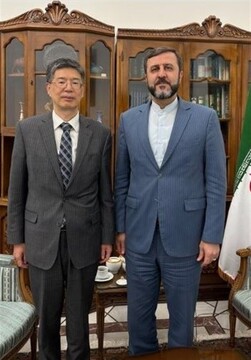 دیدار سفیر چین با غریب آبادی