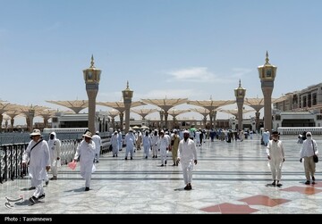 حال و هوای مسجدالنبی در ایام حج