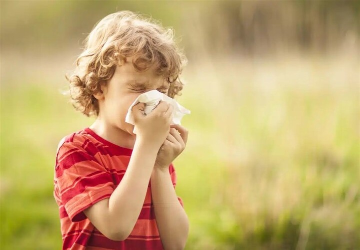 خطر حیوانات خانگی برای کودک