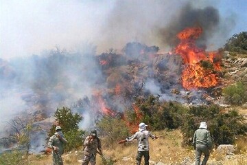 آتش‌سوزی در ارتفاعات پارک ملی گلستان