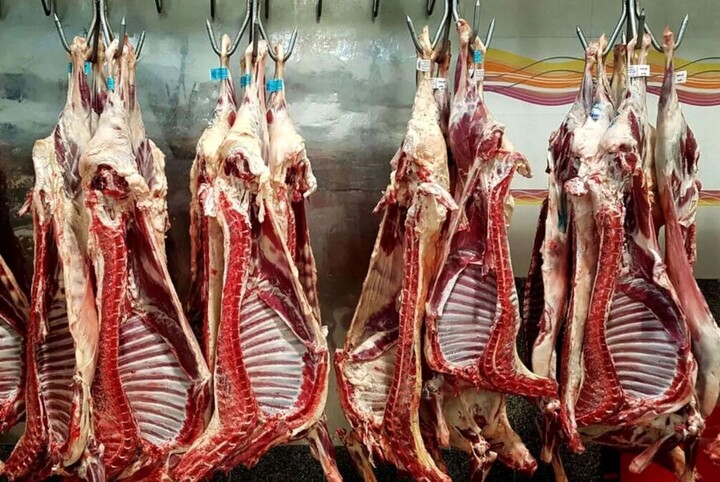 گوشت