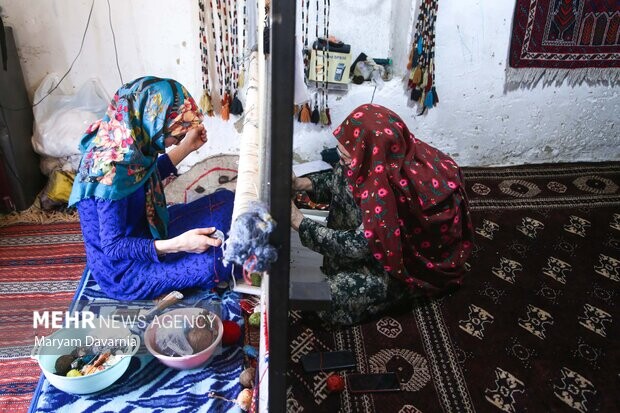 زندگی در روستاها برای جلوگیری از مهاجرت باید سودآور شود زنان روستایی