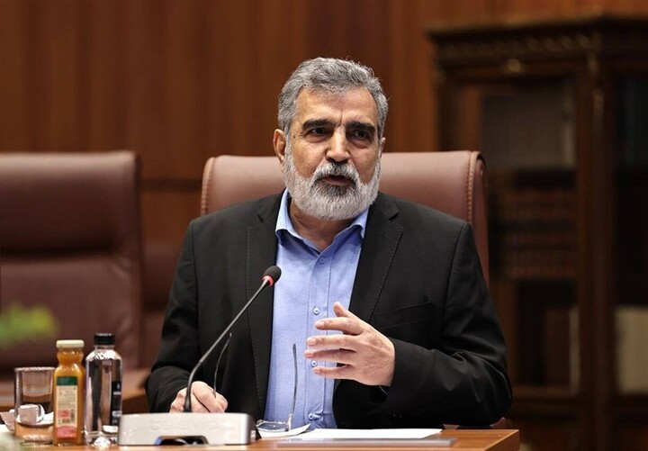 کمالوندی: آژانس انرژی اتمی به اطلاعات جاسوسی استناد میکند کمالوندی: آژانس انرژی اتمی به اطلاعات جاسوسی استناد میکند