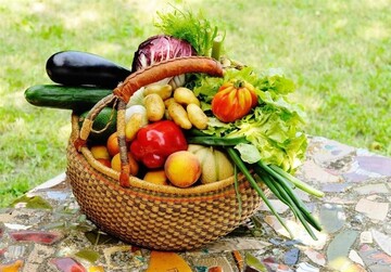 خطر آلودگی سبزیجات به مدفوع سگ و گربه