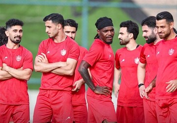 باشگاه پرسپولیس: دنبال جذب هر بازیکنی نیستیم