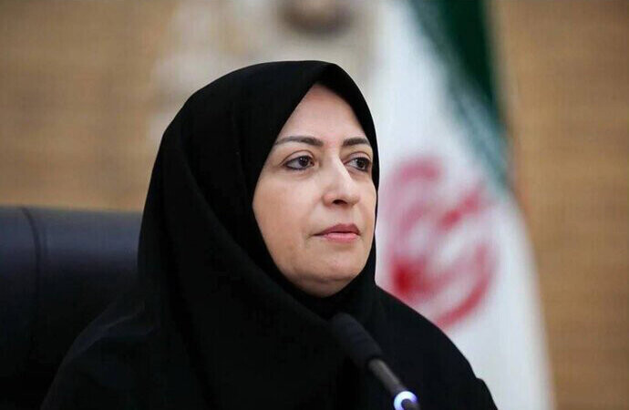 همه دستگاهها در موضوع گردو غبار پای کار باشند شینا انصاری