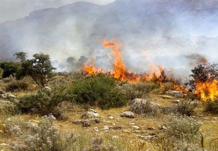 جانفشانی مردم محلی در اطفای حریق کوه درشک