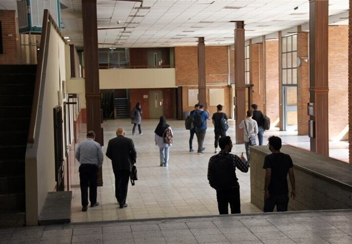 دانشگاه