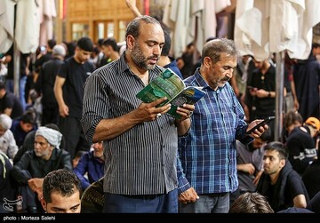 حرم مطهر حضرت علی (ع) در آستانه اربعین حسینی