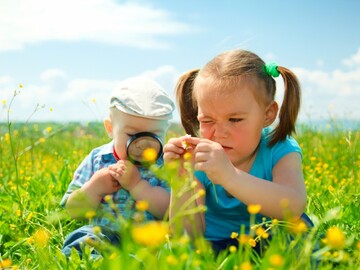 حضور در فضاهای سبز باعث رشد بهتر مغز کودکان می‌شود