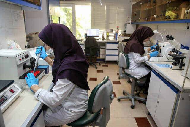 پسا دکتری