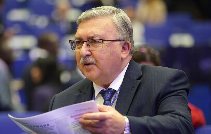 اولیانوف: خواسته ایران برای دریافت تضمین درباره عدم تکرار تجاوزات کاملا موجه است
 اولیانوف