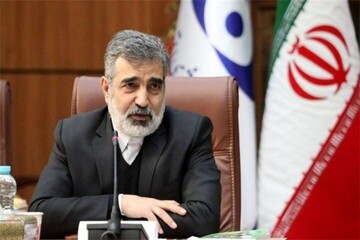 برای تصویب قطعنامه پیشنهادی ایران تلاش می‌کنیم