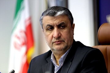 ازسرگیری بازرسی‌ها مشروط به اتخاذ «تدابیر ویژه» است