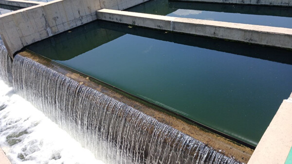 image-20250923180249-1.png