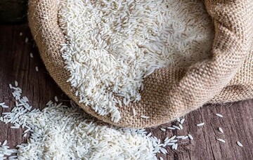 نیاز به واردت ۱.۵ میلیون تن برنج/ کمبود و کم آبی قیمت‌ها را افزایشی می‌کند